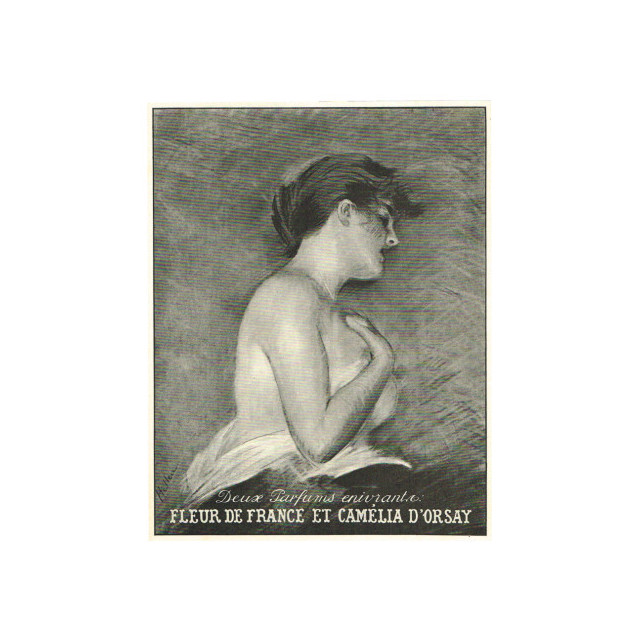 Immagine del profumo Camelia di D’ORSAY