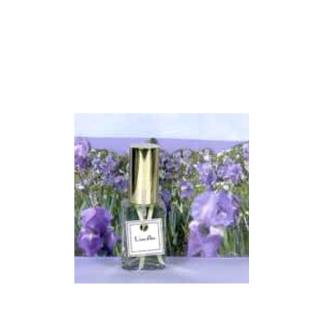Immagine del profumo L’eau d’Iris di DSH Perfumes