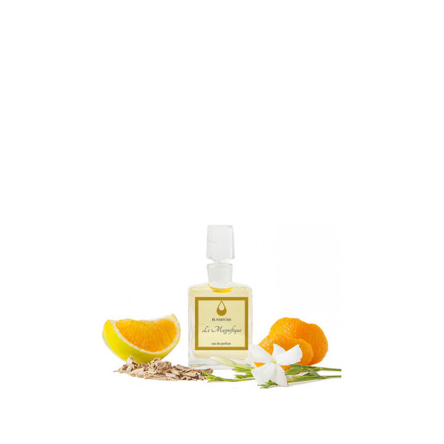 Immagine del profumo Le Magnifique di FL Parfums