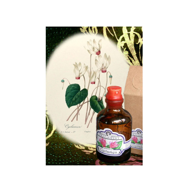 Immagine del profumo Cyclamen di Fragrifert Parfumeur