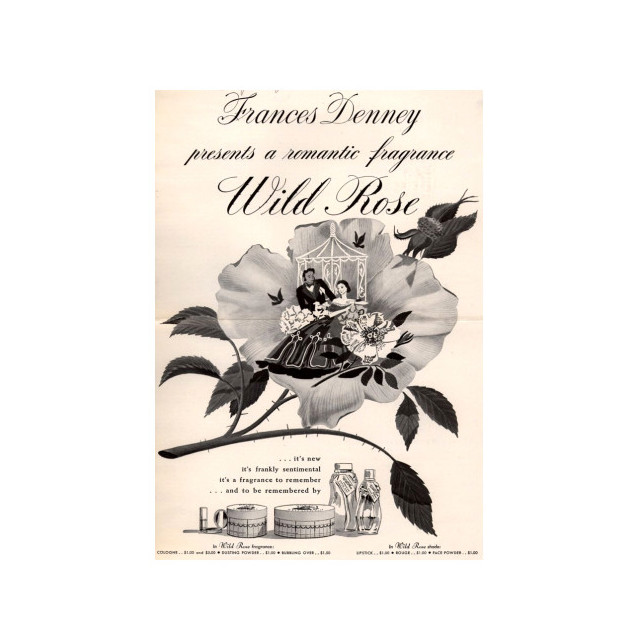 Immagine del profumo Wild Rose di Frances Denney