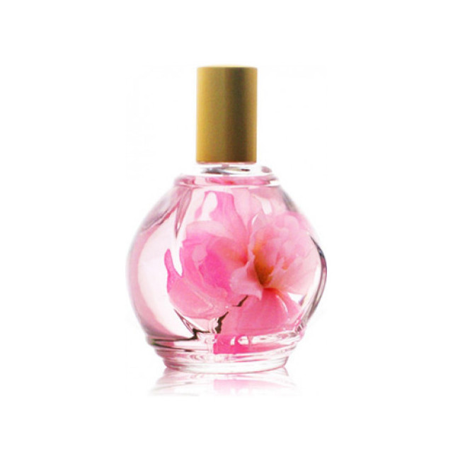 Immagine del profumo Parfum d'Ambiance Rose di Guy Bouchara