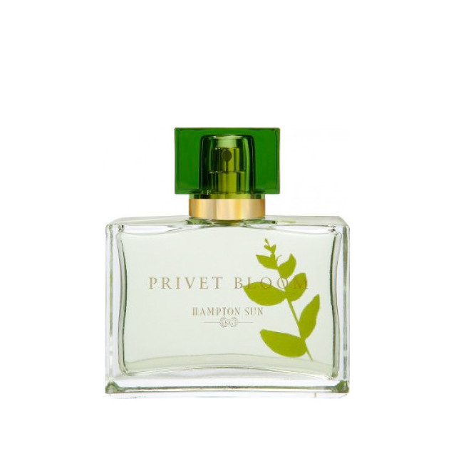Immagine del profumo Privet Bloom di Hampton Sun