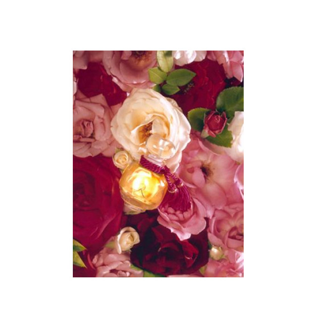 Immagine del profumo La Rose Legere di Les Parfums de Rosine