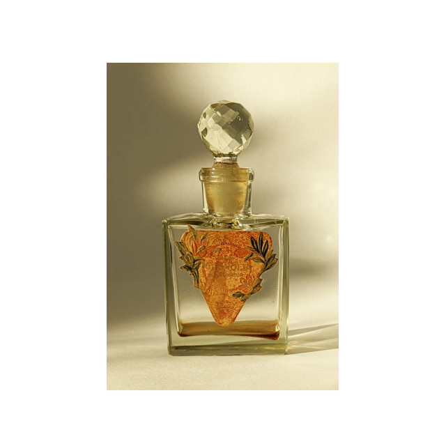 Immagine del profumo Extrait Magnolia de Soukhoum TEGE di Nouvelle Etoile – Новая Заря