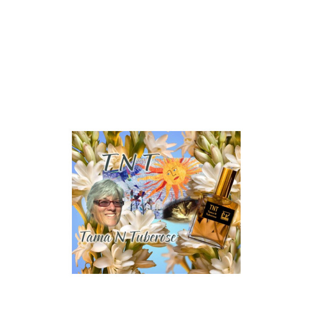 Immagine del profumo TNT di PK Perfumes