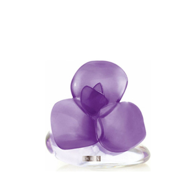 Immagine del profumo Very Flower Iris di Pupa