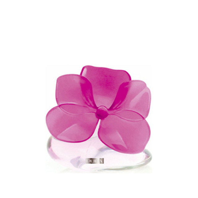 Immagine del profumo Very Flower Orchidea di Pupa