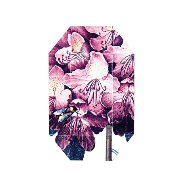 Immagine del profumo Print Collection Stella 01 (2011) di Stella McCartney