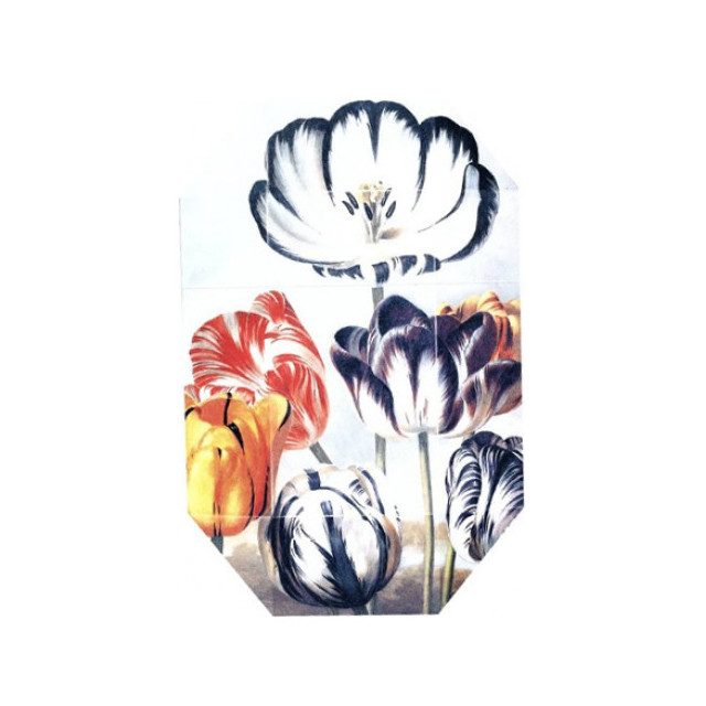 Immagine del profumo Print Collection Stella 02 (2011) di Stella McCartney