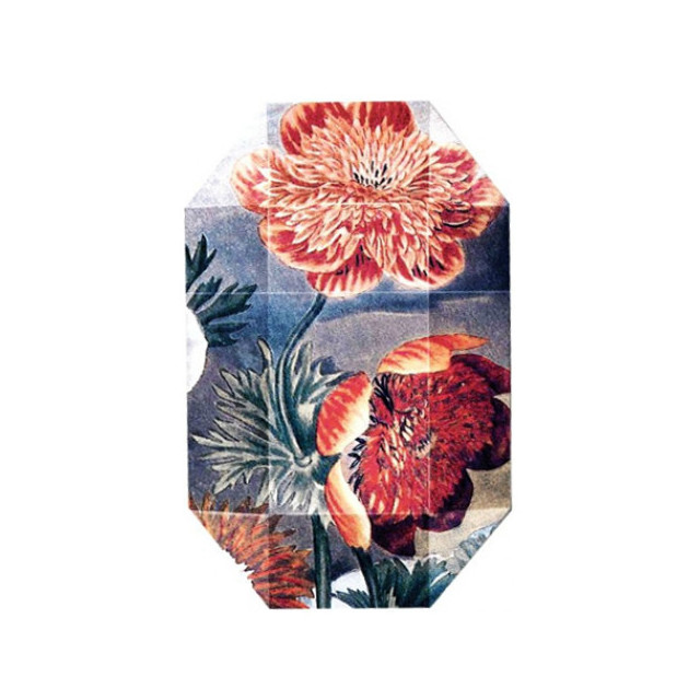 Immagine del profumo Print Collection Stella 03 (2011) di Stella McCartney