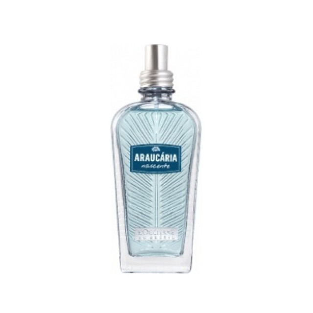 Immagine del profumo Araucária Nascente di L’Occitane Au Brésil