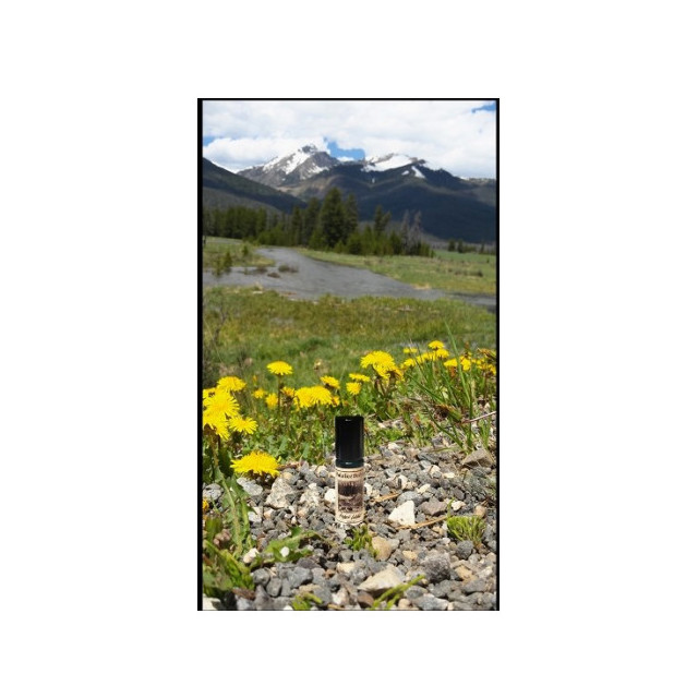 Immagine del profumo Hidden Lodge di Solstice Scents