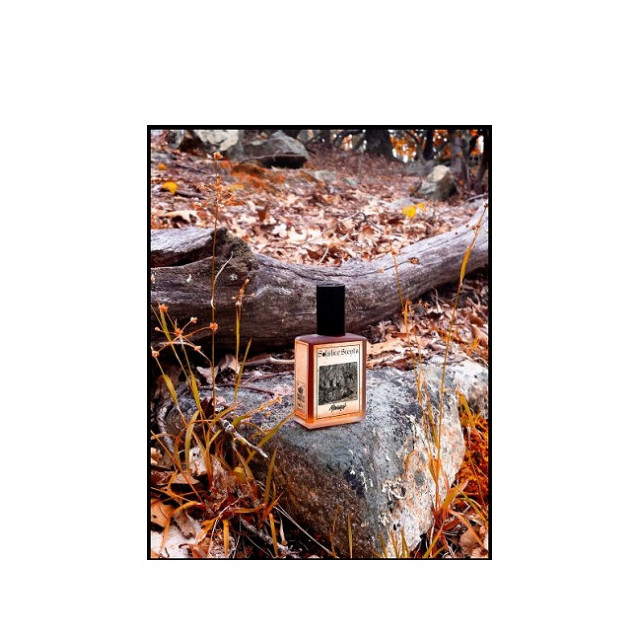 Immagine del profumo Monarch di Solstice Scents