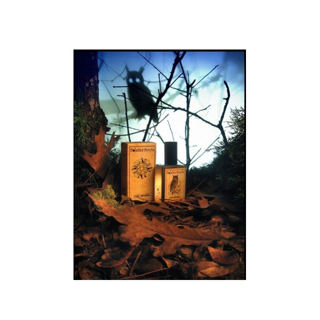 Immagine del profumo Night Watcher di Solstice Scents