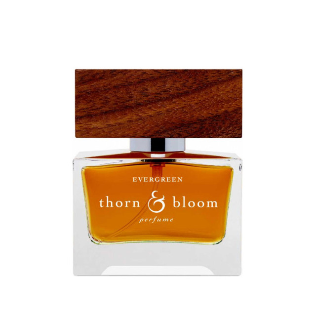 Immagine del profumo Evergreen di Thorn & Bloom