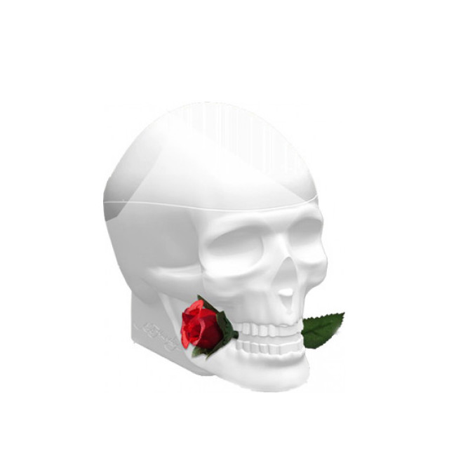 Immagine del profumo Ed Hardy Skulls & Roses for Her di Christian Audigier