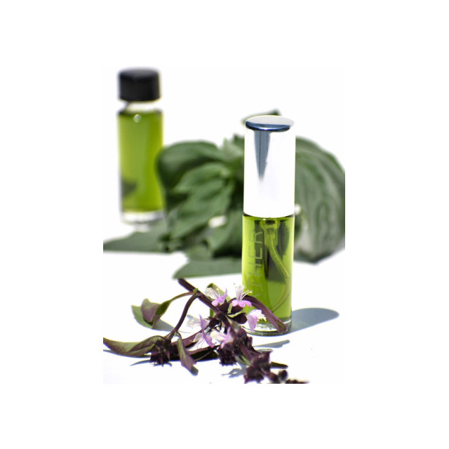 Immagine del profumo Basil di Gather Perfume