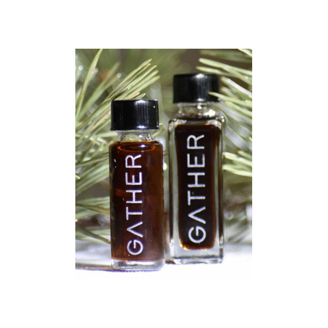 Immagine del profumo Forest Flora di Gather Perfume