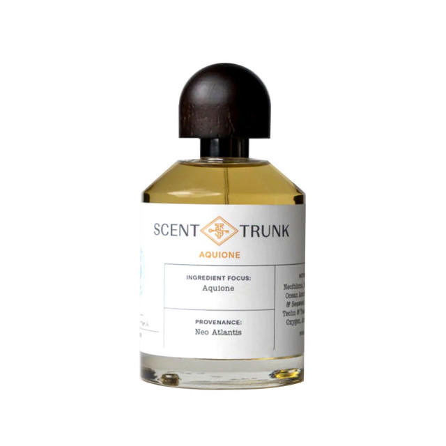 Immagine del profumo Aquione di Scent Trunk