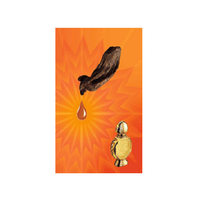 Immagine del profumo Shatha Al Oudh di Rasasi