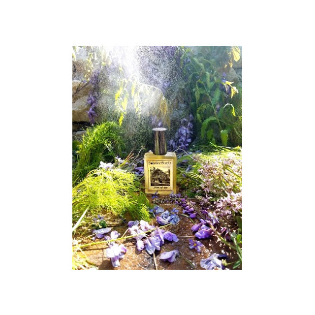 Immagine del profumo After the Rain di Solstice Scents