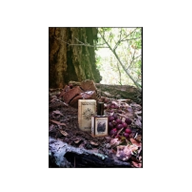 Immagine del profumo Black Forest di Solstice Scents