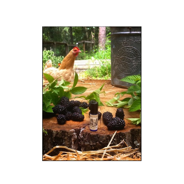 Immagine del profumo Blackburn Farmstead di Solstice Scents