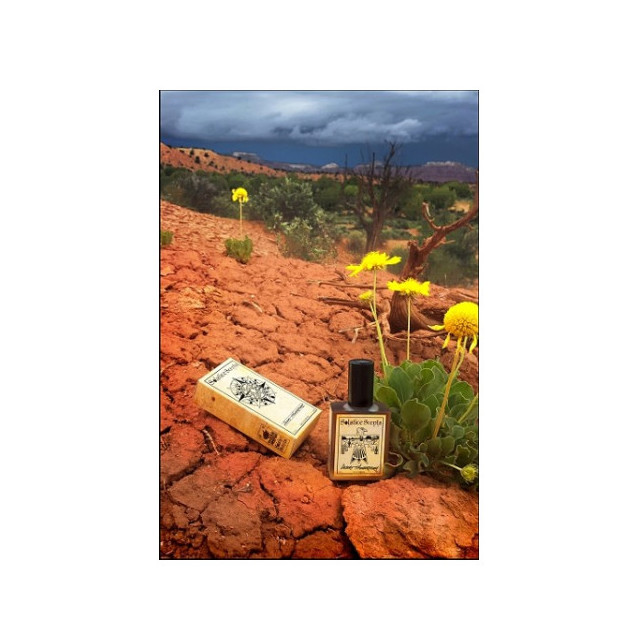 Immagine del profumo Desert Thunderstorm di Solstice Scents