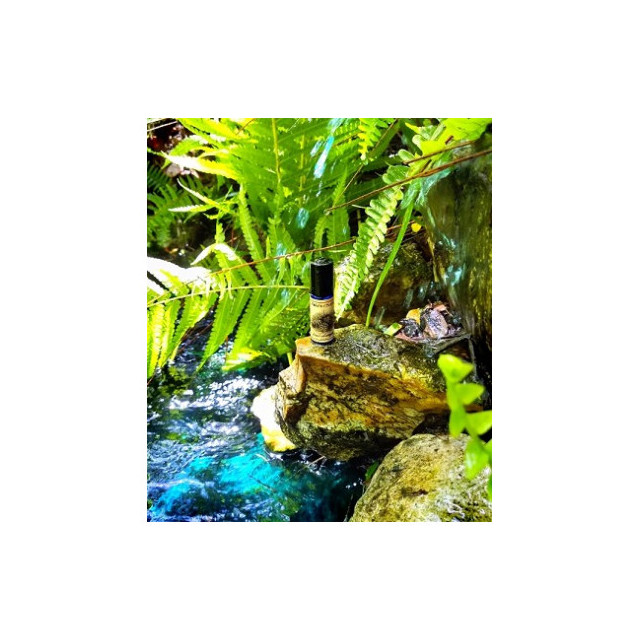 Immagine del profumo Devil's Millhopper di Solstice Scents