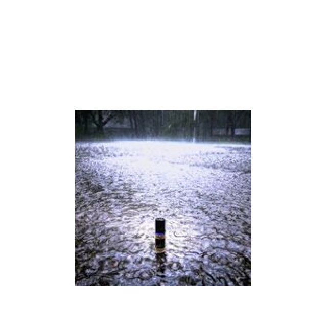 Immagine del profumo During the Rain di Solstice Scents