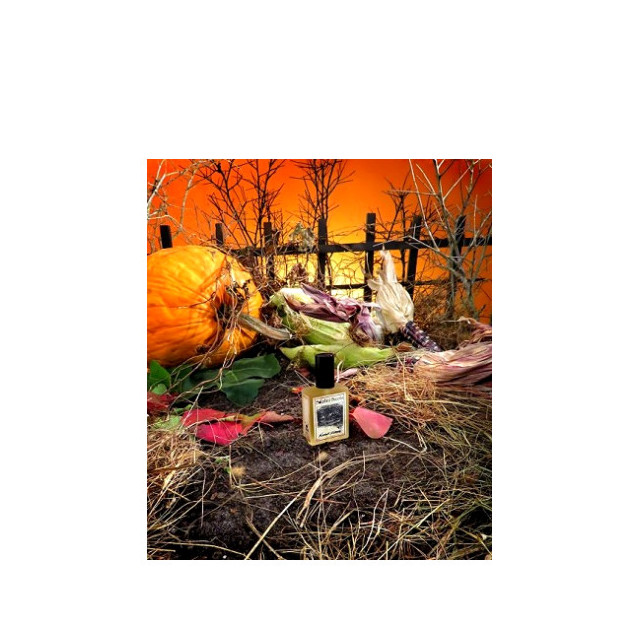 Immagine del profumo Foxcroft Intense di Solstice Scents
