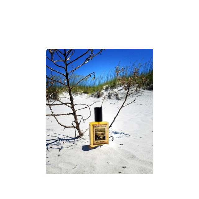 Immagine del profumo Gulf Breeze di Solstice Scents