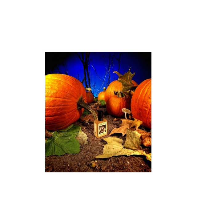 Immagine del profumo Gunnerson's Pumpkin Patch di Solstice Scents