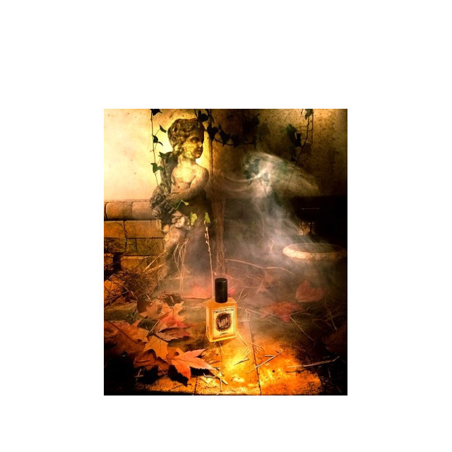 Immagine del profumo Loggia di Solstice Scents