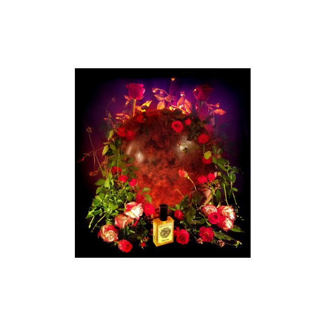 Immagine del profumo Orient Rose di Solstice Scents