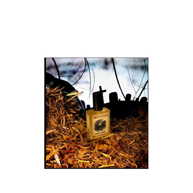 Immagine del profumo Riverside Hayride di Solstice Scents