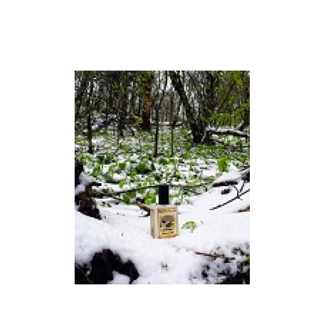 Immagine del profumo Snowmint Mallow di Solstice Scents