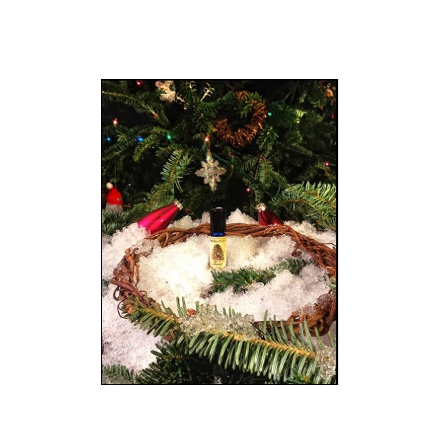 Immagine del profumo Winslow's di Solstice Scents