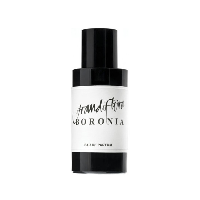Immagine del profumo Boronia di Grandiflora