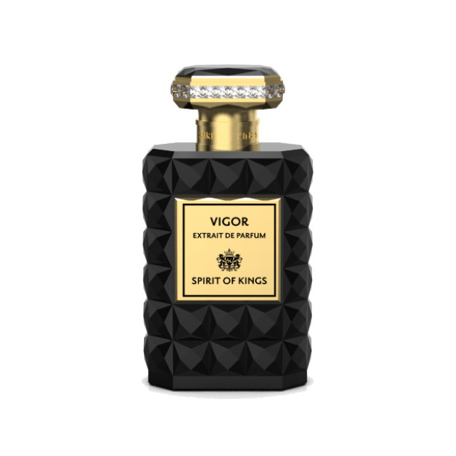 Immagine del profumo Vigor di Spirit Of Kings