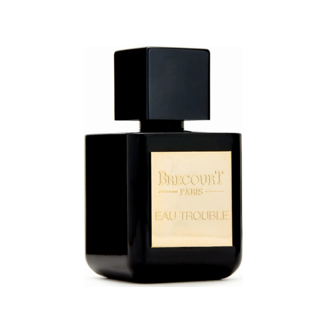 Immagine del profumo Eau Trouble di Brecourt