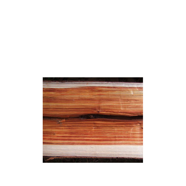 Immagine del profumo If di Bud Parfums