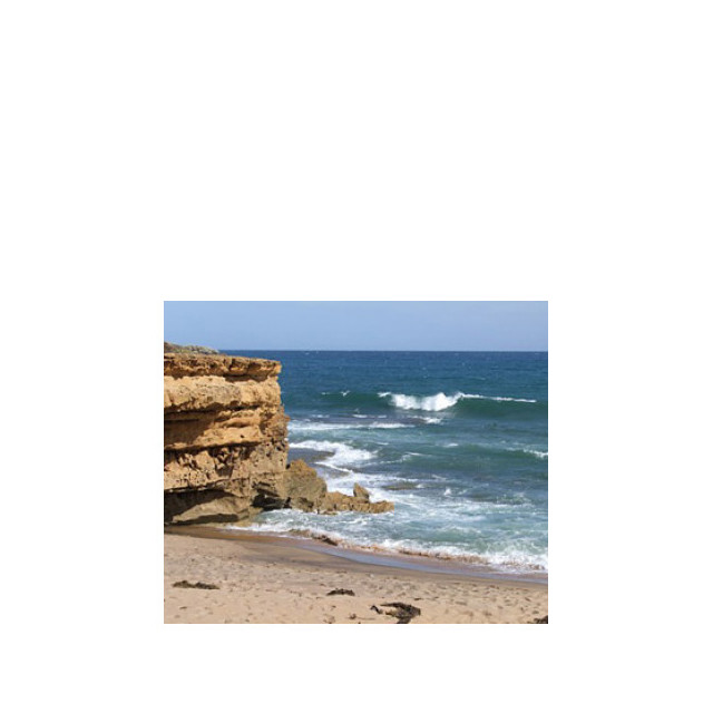 Immagine del profumo Ripsilver di Bud Parfums