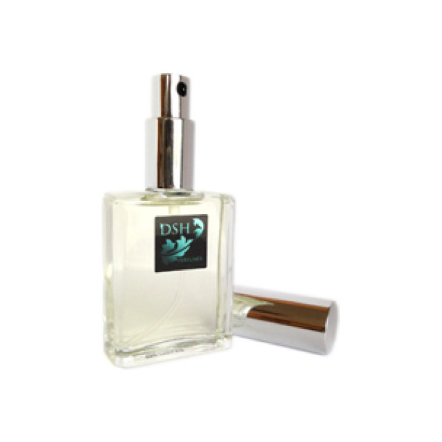 Immagine del profumo Electric Summer di DSH Perfumes