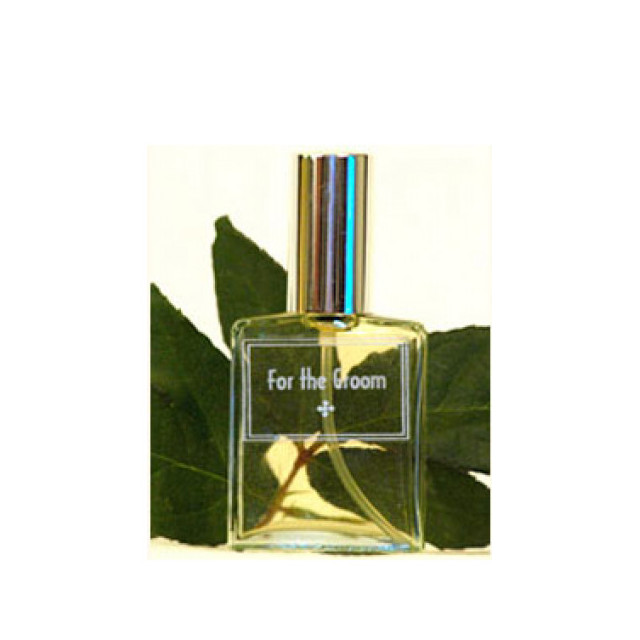 Immagine del profumo For the Groom di DSH Perfumes