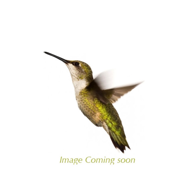 Immagine del profumo November No 11 di Erik Kormann