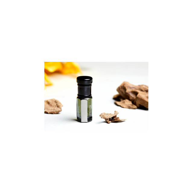 Immagine del profumo Oud Sub Lime di Feel Oud