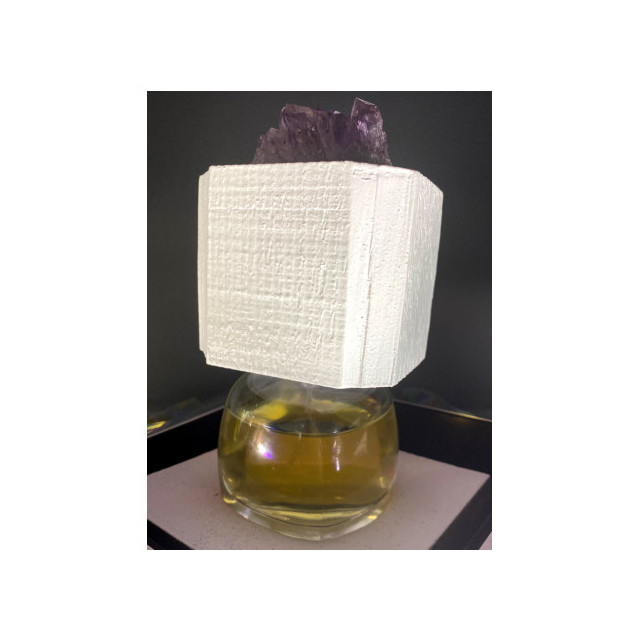 Immagine del profumo Lux Visionaria di Filippo Sorcinelli