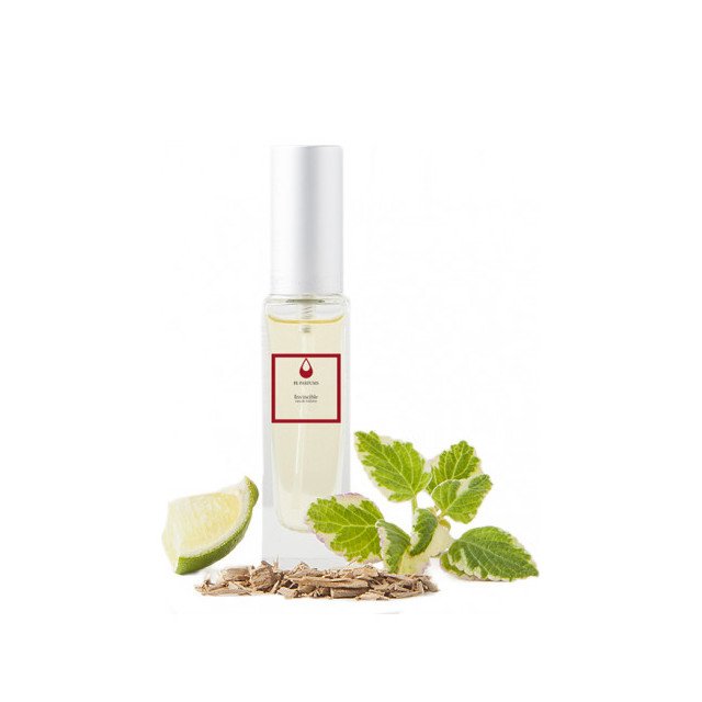 Immagine del profumo Invincible di FL Parfums